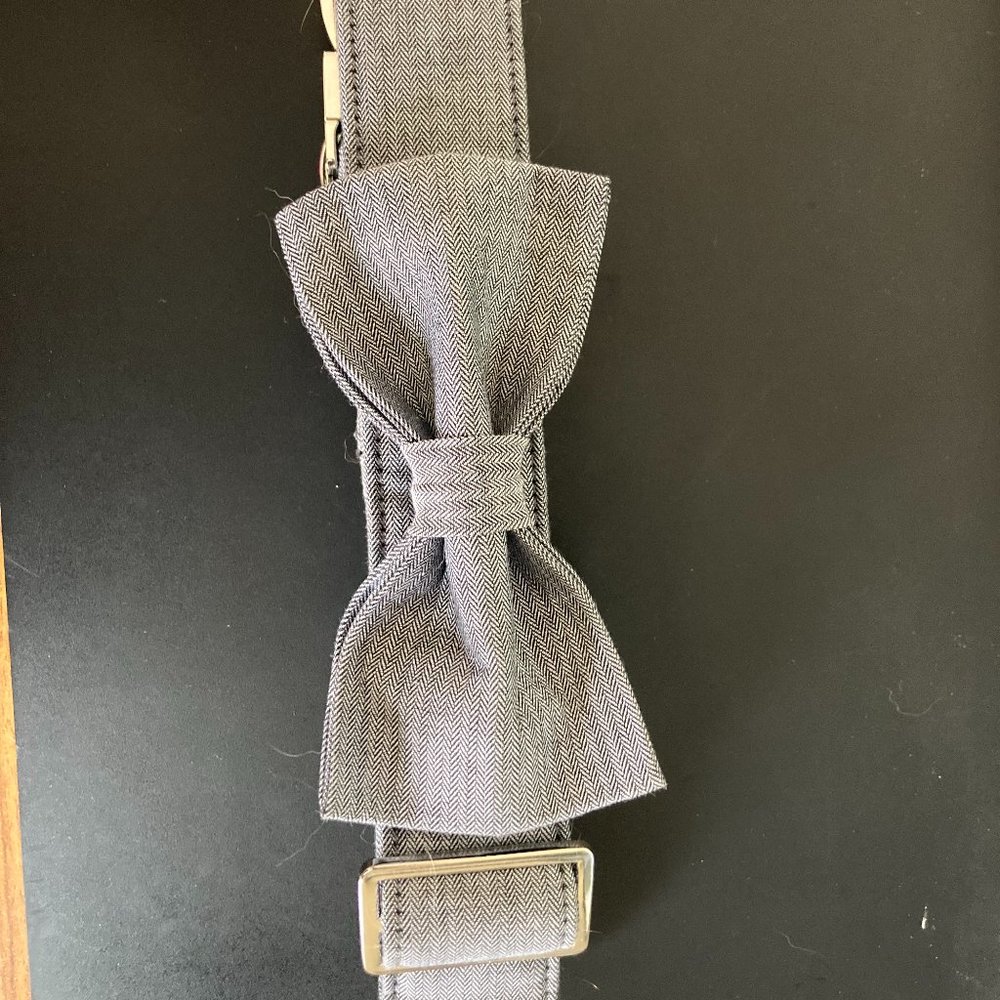 Lionet Paws Dog Collar with Bowtie